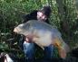 Preview: Simple Orange bt baits Boilies